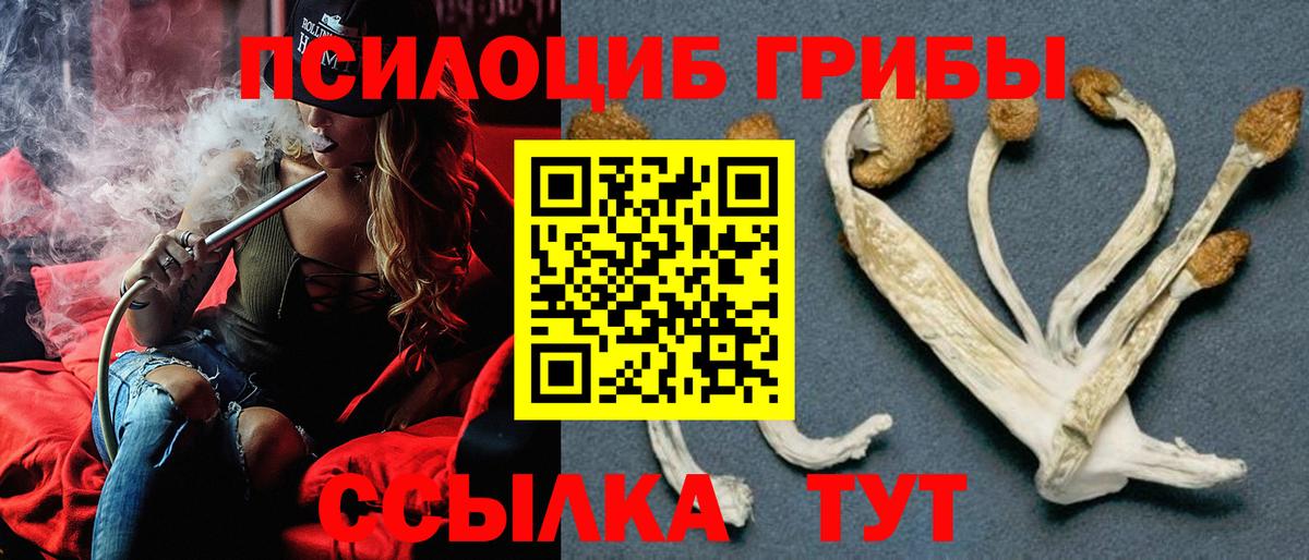 Юрга  купить наркоту  Вход с VPN  Псилоцибиновые грибы Psilocybine cubensis  Галлюциногенные грибы Psilocybe 
